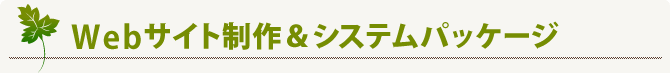 Webサイト制作＆システムパッケージ